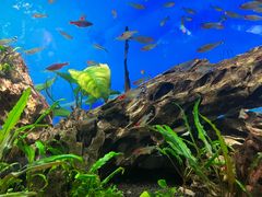 -太平洋海底世界