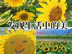 -雾灵西峰