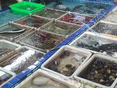 -霞涌市场海鲜摆卖区