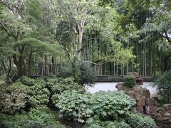 -秋霞圃