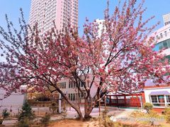 -伊顿幼儿园(济南大地锐城校区)