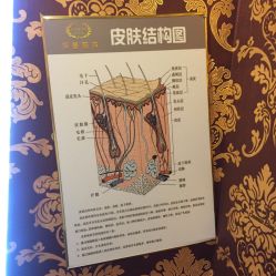 -莎蔓莉莎美容会所
