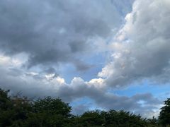 -厦门园林博览苑