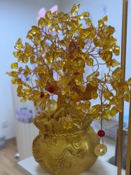 -美肤盾祛痘·问题肌头疗管理中心