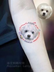 -海王刺青·纹身·穿孔饰品·TATTOO
