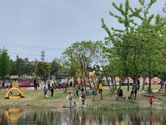 -两河城市森林公园