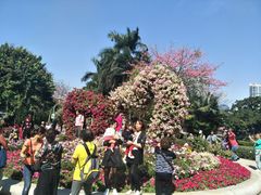 -阿一猪红汤(东风西路店)