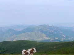 -灵山