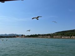 -刘公岛景区