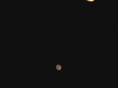 -明月东一酒店·菲斯特自助餐厅