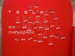 -TESLA 特斯拉(郑州正弘城体验店)