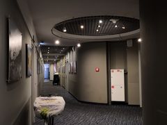 -谢列梅捷沃国际机场