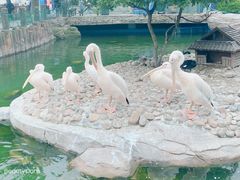 -大连老虎滩海洋公园