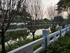 -黄埔古港