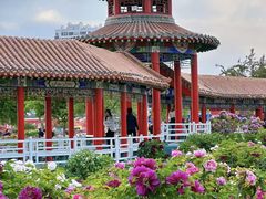 -水邑嘉年华酒店·中餐部(鄄城店)