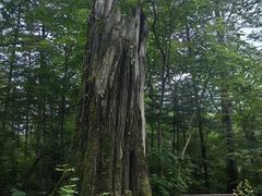 -长白山万达锦华套房酒店