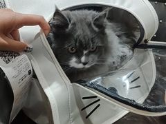 -宠颐生斯嘉宠物医院·急重症·心内科(谷阳北路分院)
