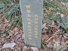 -龙井村