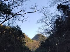 -黔灵山公园