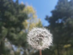 -厦门园林博览苑