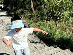 -巢湖姥山岛