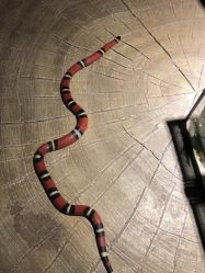 -酷嗒动物文化乐园(cutezoo西溪乐天城店)