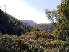 -藏龙百瀑风景区