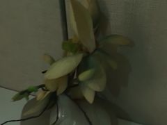 -见康道莱•足浴按摩•艾灸•SPA(友谊店)