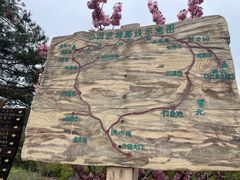 -金龙寺国家森林公园