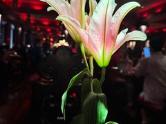 -花马天堂云南餐厅 Lost Heaven(外滩店)