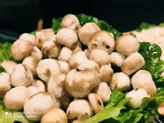 -凤园椰珍·臻品椰子鸡(保利时光里店)