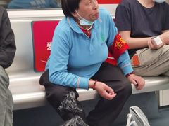 -竹子林(地铁站)