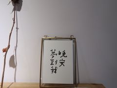 -猫里有甜