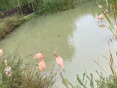 -上方山森林动物世界
