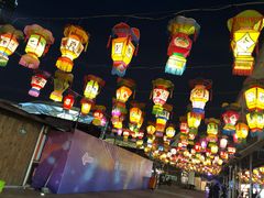 -锦江乐园舞狸花花游园会(夜场专享)