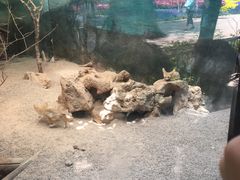 -昆明动物园