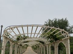 -北京张裕爱斐堡酒庄