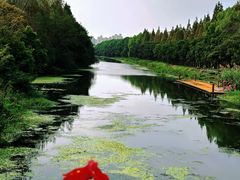 -昆山城市生态森林公园