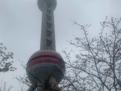 -东方明珠广播电视塔