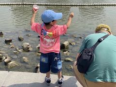 -南翔镇银翔湖公园
