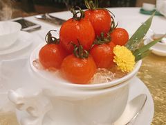 冰梅温室小番茄-誉珑轩