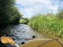 -塞罕坝国家级自然保护区