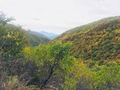 -北京灵山风景区