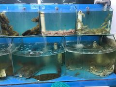 -日照大牌檔•小船海鲜(万平口店)