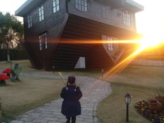-金山农民画村-枫泾波兰倒置屋