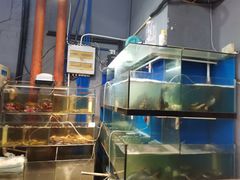 水产区-美味海鲜大排档(明发美食地标店)