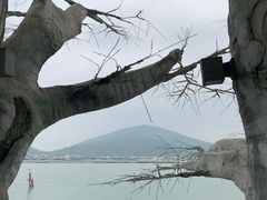 -芒洲湿地公园