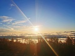 -富士山吉田線五合目