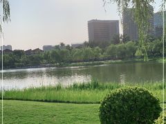 -西海子公园