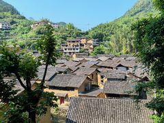 -杨家堂村